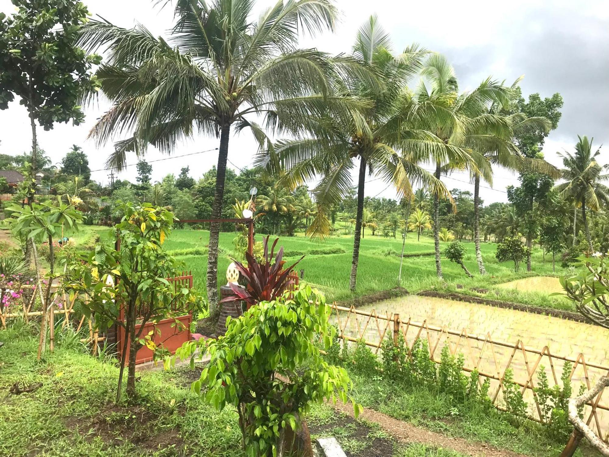 Bello Bungalow Batukliang Ngoại thất bức ảnh