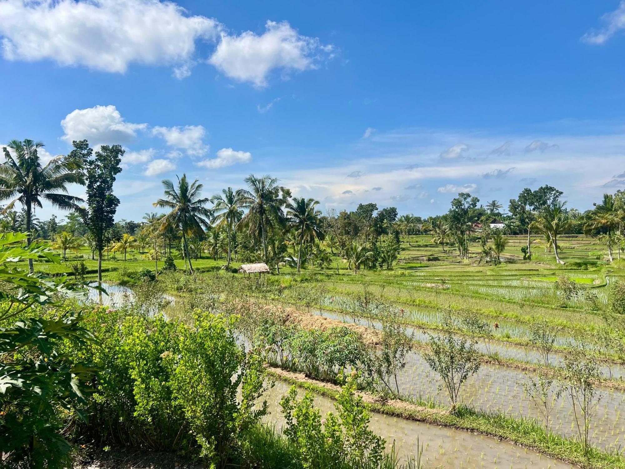 Bello Bungalow Batukliang Ngoại thất bức ảnh