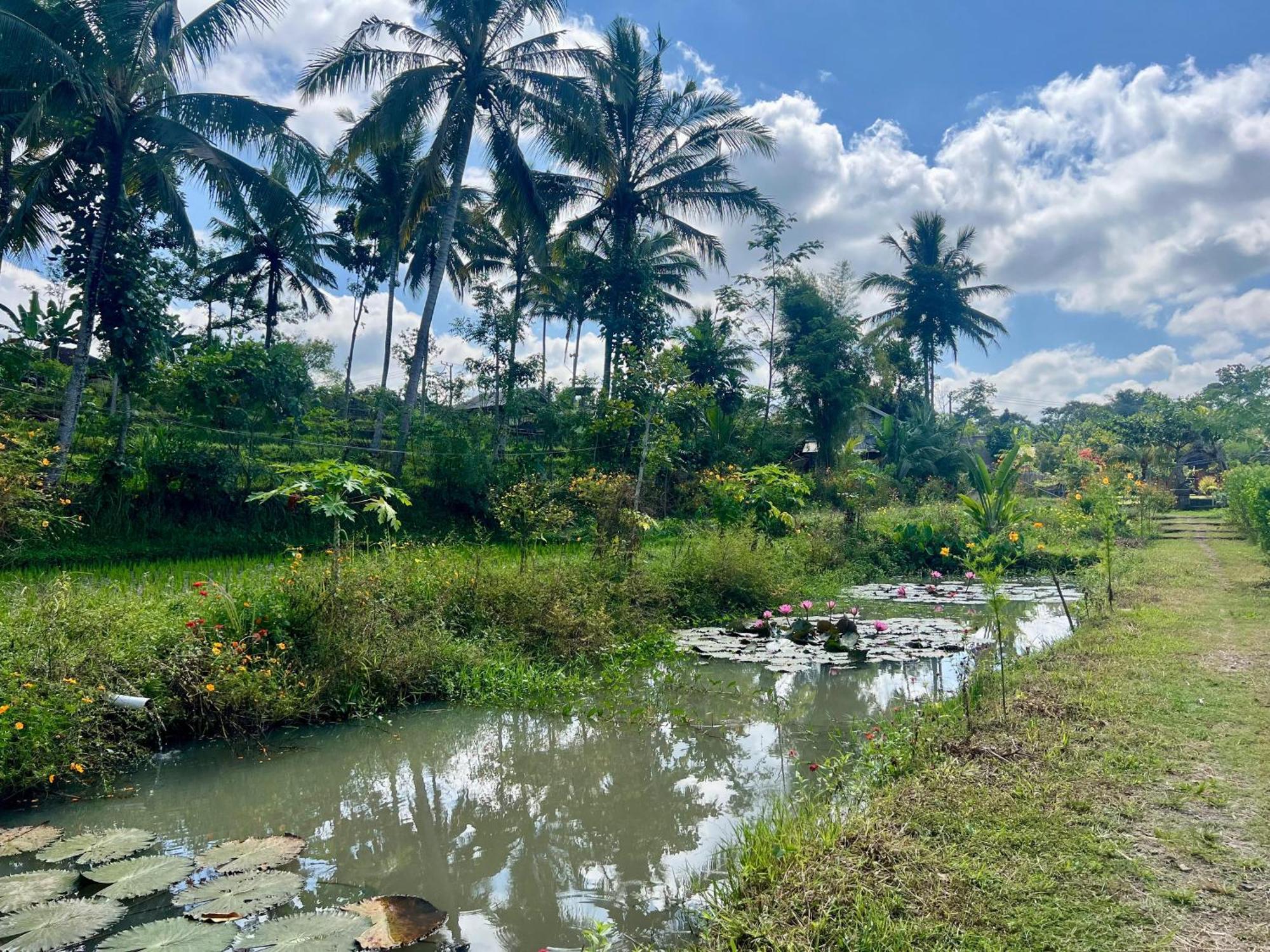 Bello Bungalow Batukliang Ngoại thất bức ảnh