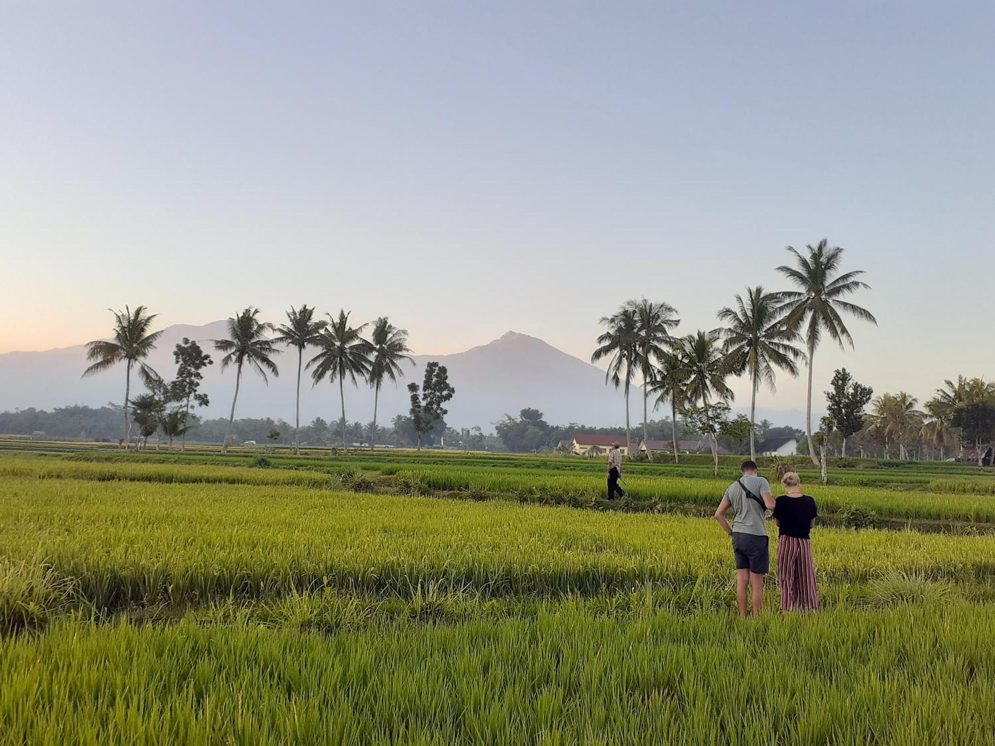 Bello Bungalow Batukliang Ngoại thất bức ảnh